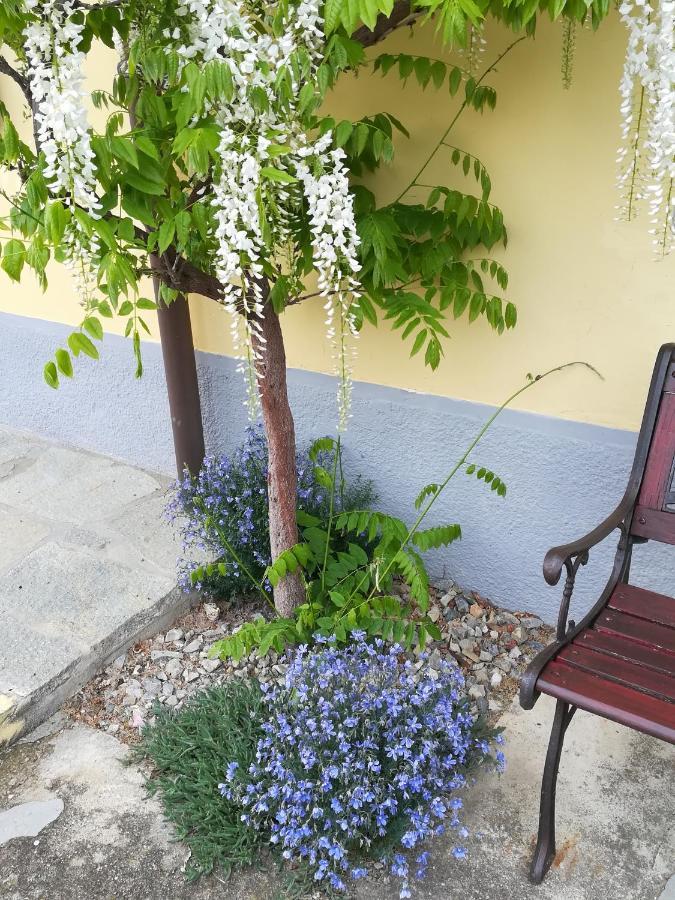 La Casa Dei Masue' ξενώνας Άλμπα Εξωτερικό φωτογραφία