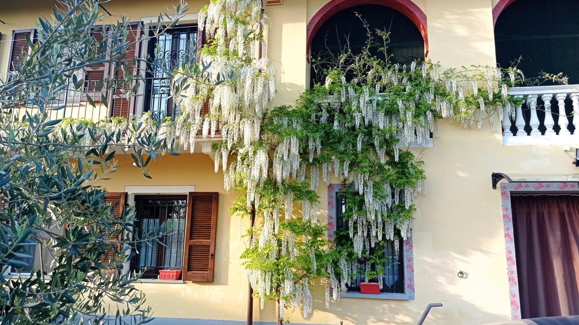 La Casa Dei Masue' ξενώνας Άλμπα Εξωτερικό φωτογραφία