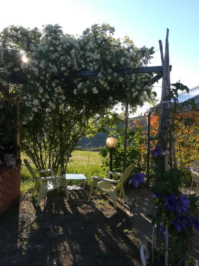 La Casa Dei Masue' ξενώνας Άλμπα Εξωτερικό φωτογραφία